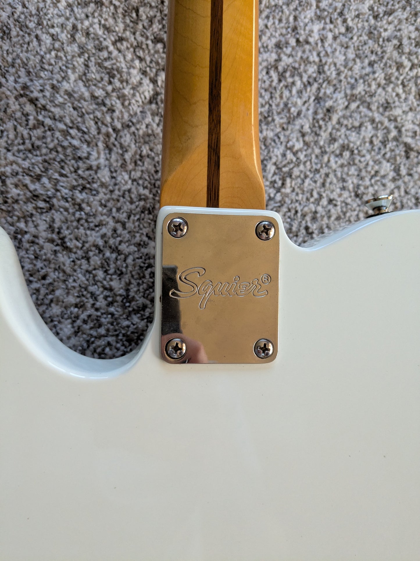 Squier Classic Vibe '70s Telecaster Thinline 2021 - Olympic White - Limited Edition