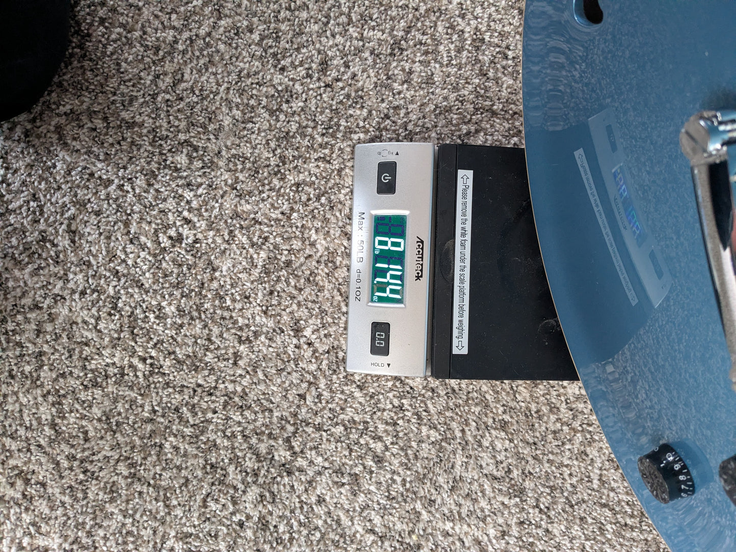 EVH SA-126 Standard 2025 - Present - Pelham Blue