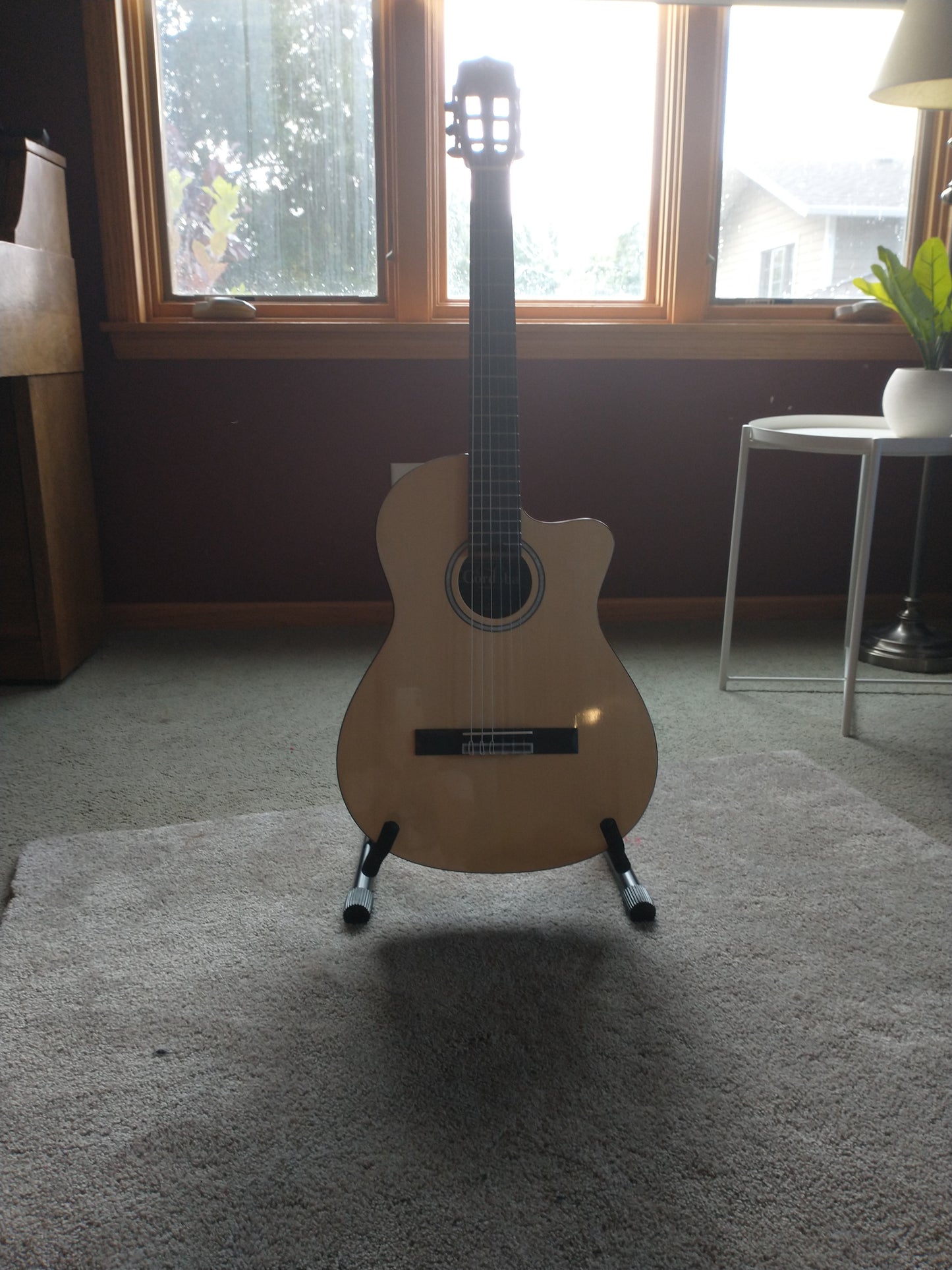 Cordoba Fusion 5 2020s Natural Acoutic Electric Classical