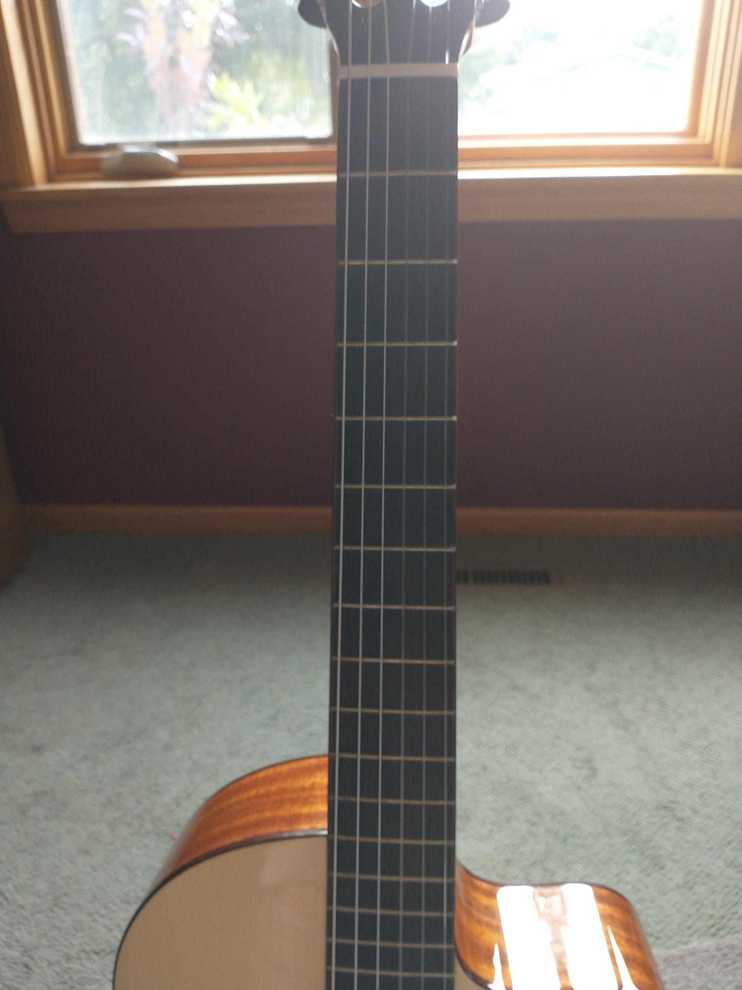 Cordoba Fusion 5 2020s Natural Acoutic Electric Classical