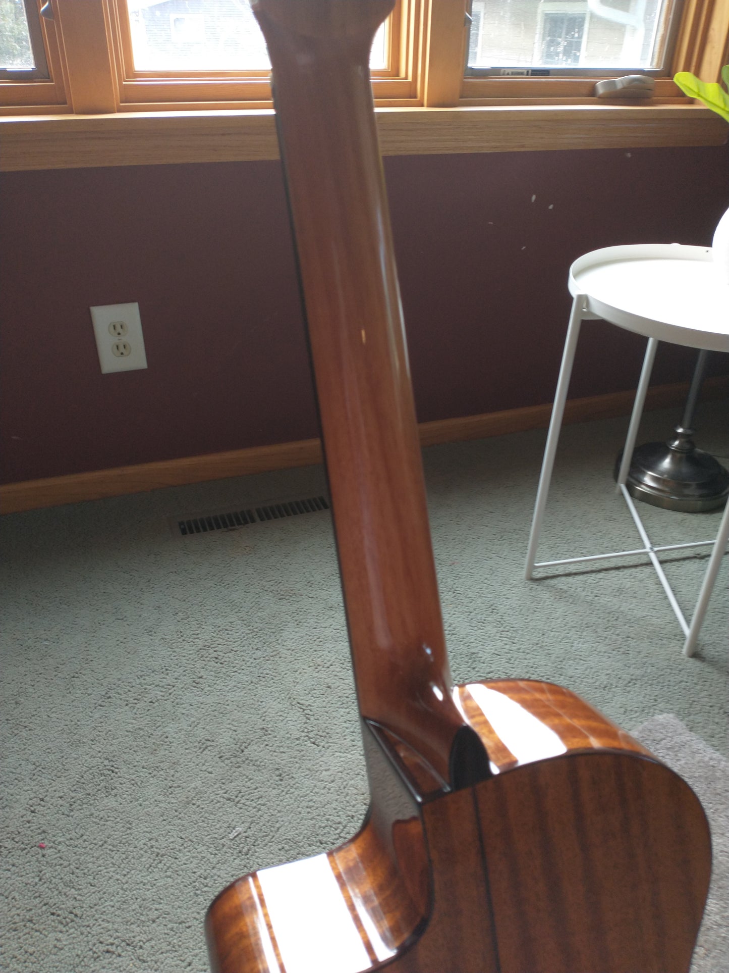 Cordoba Fusion 5 2020s Natural Acoutic Electric Classical