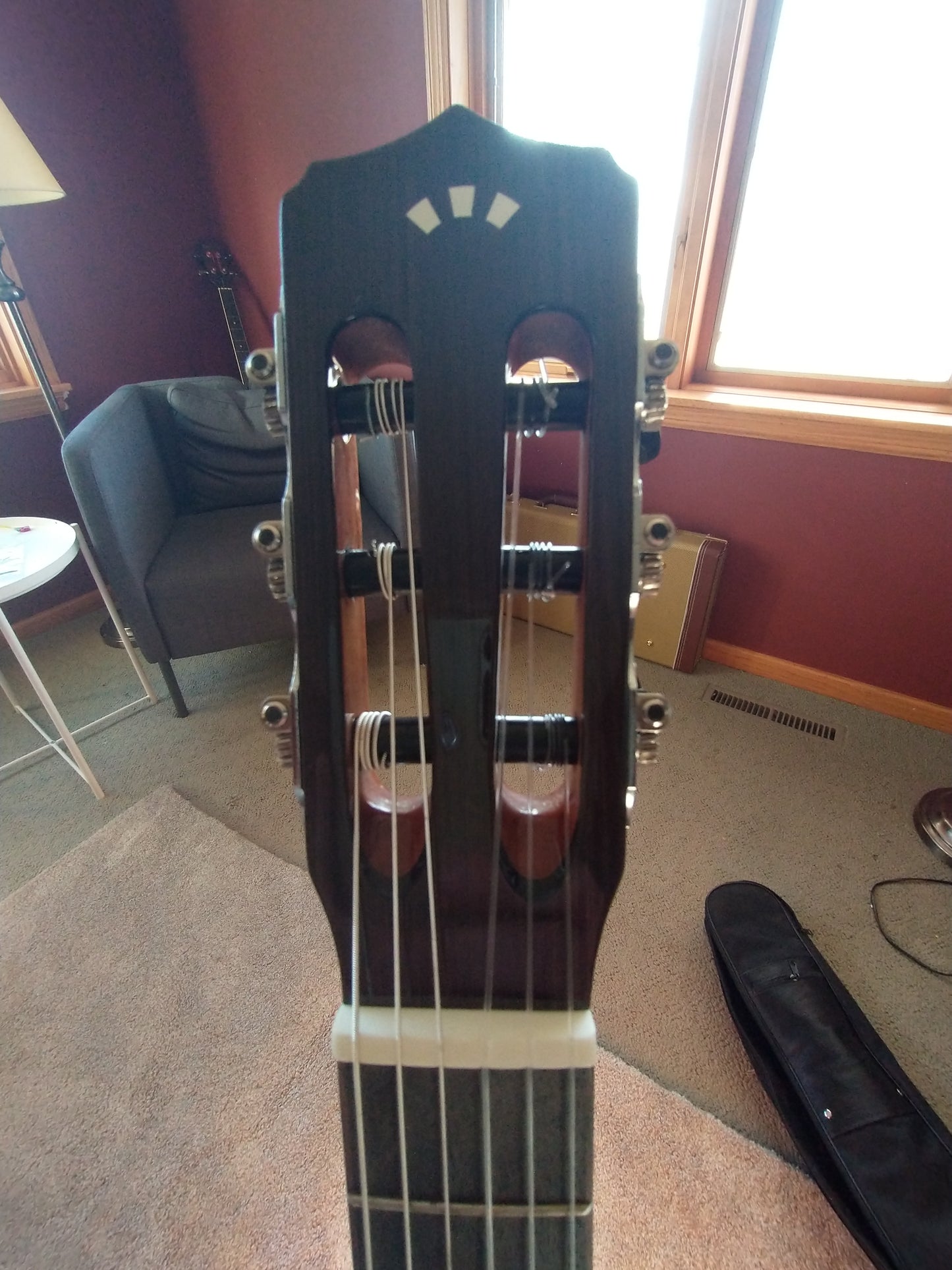 Cordoba Fusion 5 2020s Natural Acoutic Electric Classical