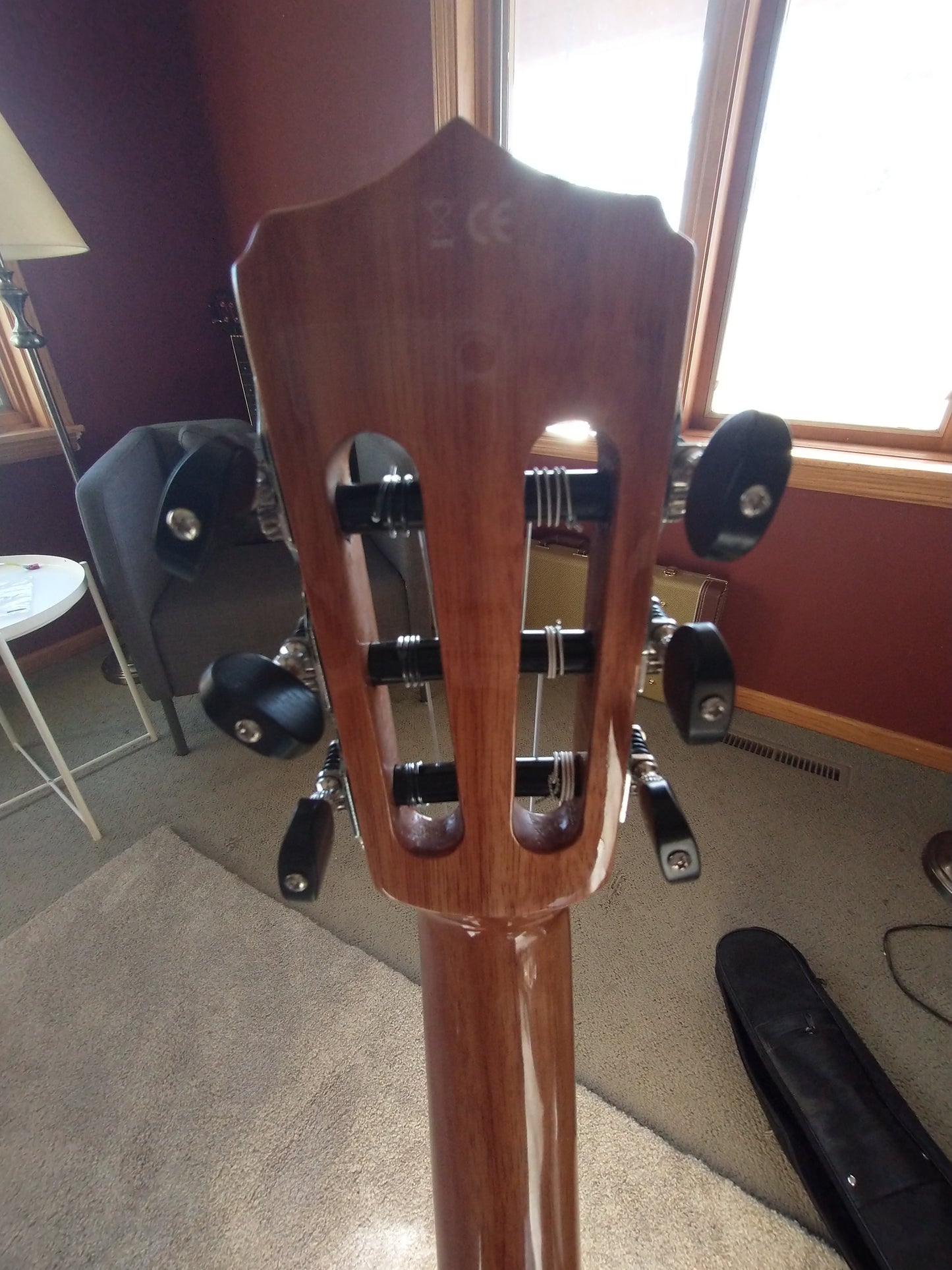 Cordoba Fusion 5 2020s Natural Acoutic Electric Classical