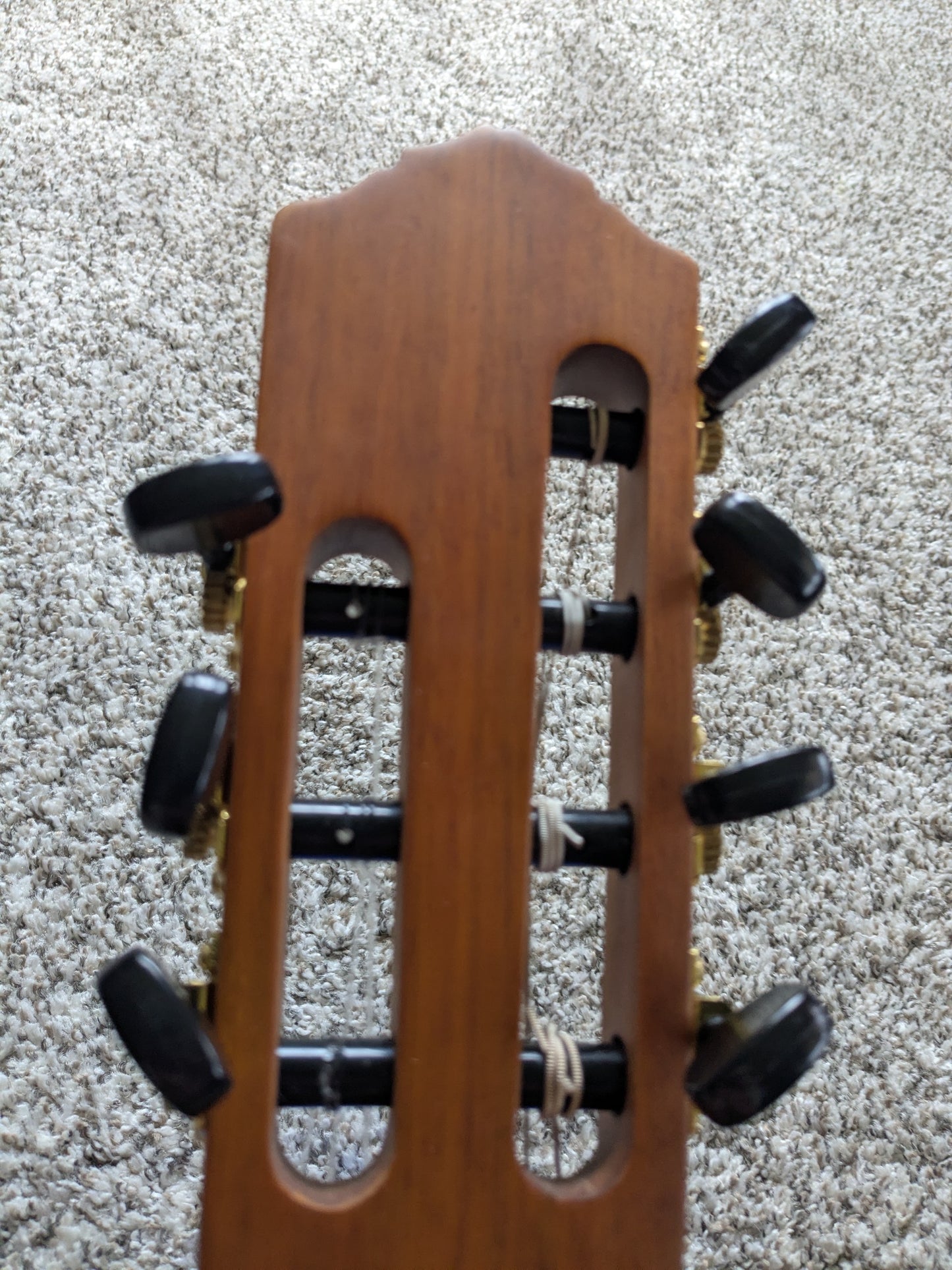 Ortega RCE133-7 Family Series Pro Size 7-String 2025 – Natural