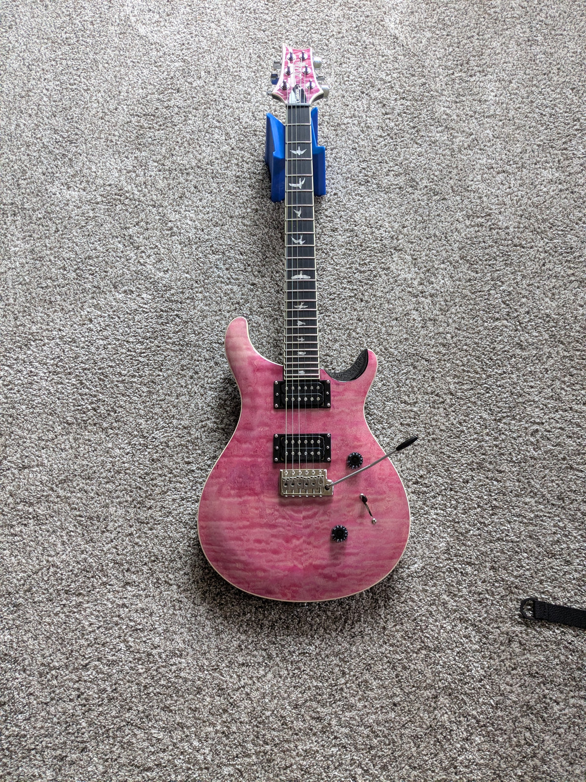 PRS SE Custom 24 Quilt 2023 - 2025 - Violet